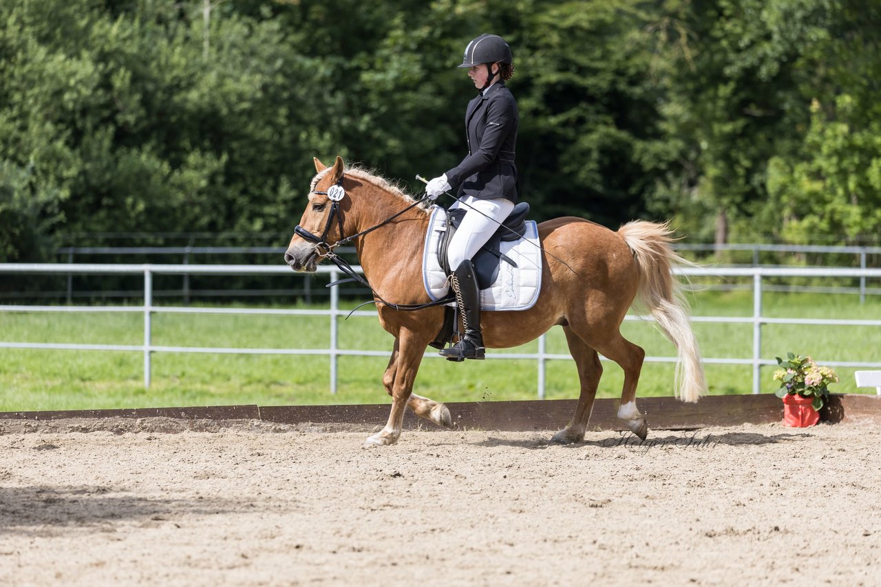 Bild 620 - Pony Akademie Turnier